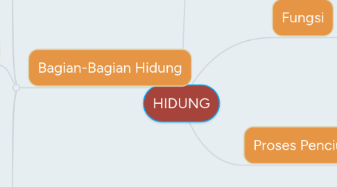 Mind Map: HIDUNG