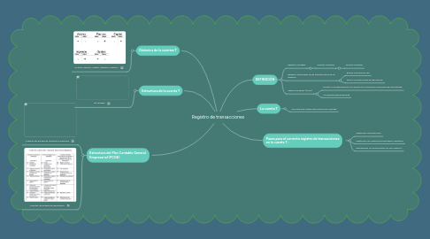 Mind Map: Registro de transacciones