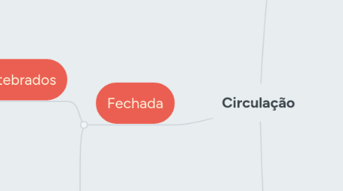 Mind Map: Circulação