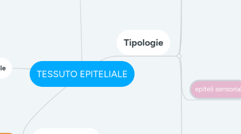 Mind Map: TESSUTO EPITELIALE