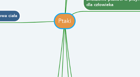 Mind Map: Ptaki