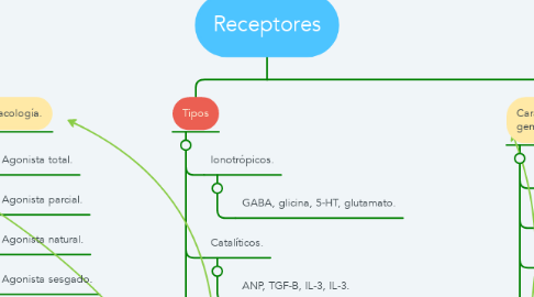 Mind Map: Receptores