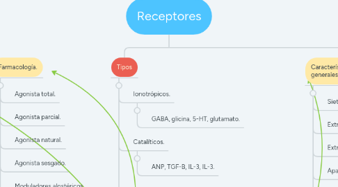 Mind Map: Receptores