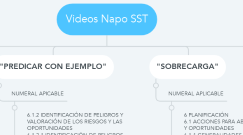 Mind Map: Videos Napo SST