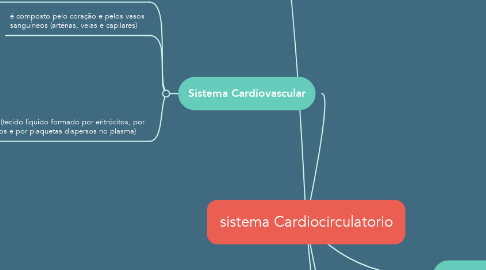 Mind Map: sistema Cardiocirculatorio