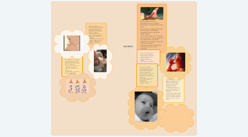 Mind Map: SUCCIÓN