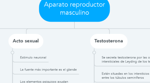 Mind Map: Aparato reproductor masculino