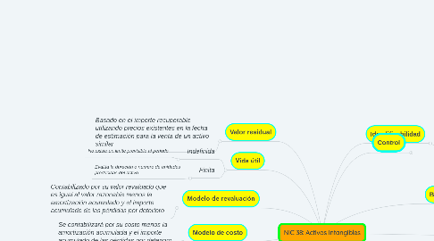 Mind Map: NIC 38: Activos Intangibles