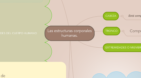 Mind Map: Las estructuras corporales humanas.