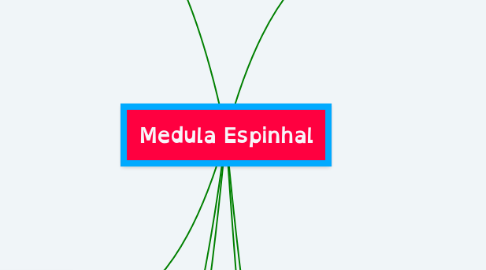 Mind Map: Medula Espinhal