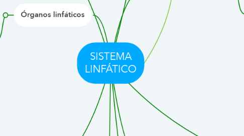 Mind Map: SISTEMA LINFÁTICO