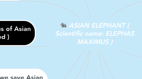 Mind Map: ASIAN ELEPHANT ( Scientific name: ELEPHAS MAXIMUS )
