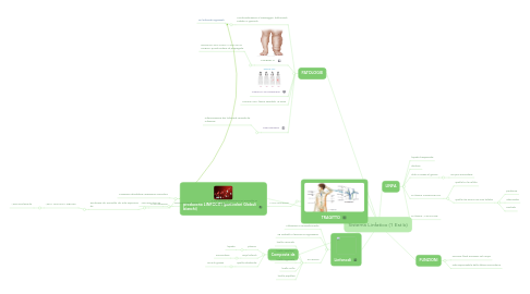 Mind Map: Sistema Linfatico (1 Est b)