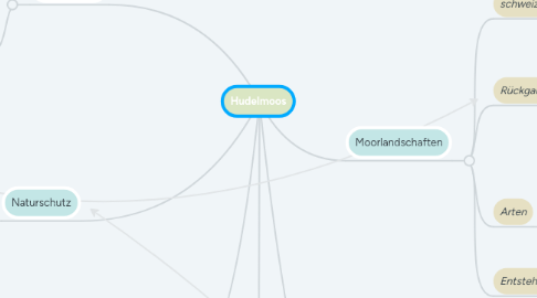 Mind Map: Hudelmoos