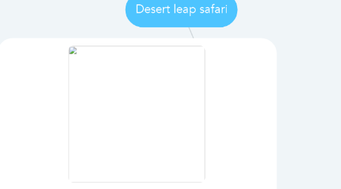 Mind Map: Desert leap safari
