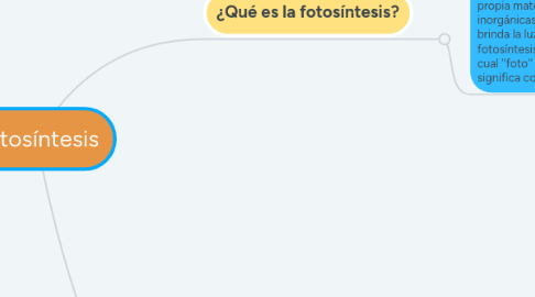 Mind Map: Fotosíntesis