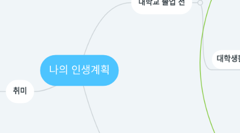 Mind Map: 나의 인생계획