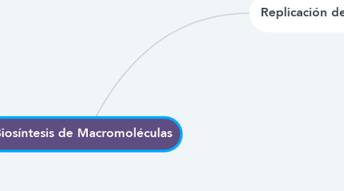 Mind Map: Biosíntesis de Macromoléculas