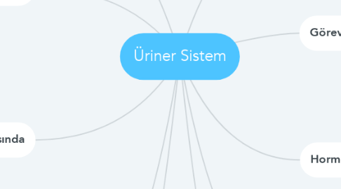 Mind Map: Üriner Sistem