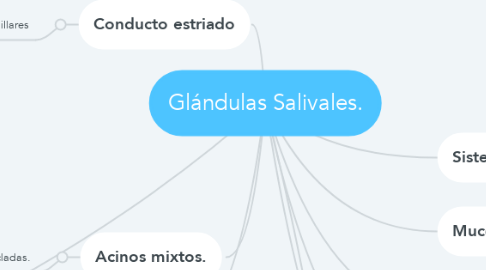 Mind Map: Glándulas Salivales.