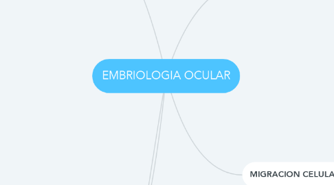 Mind Map: EMBRIOLOGIA OCULAR