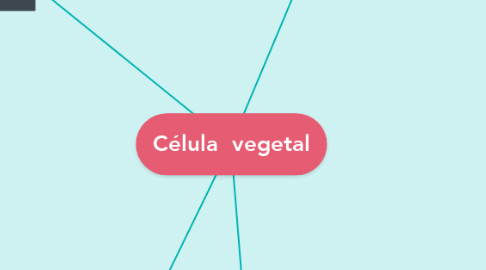 Mind Map: Célula  vegetal