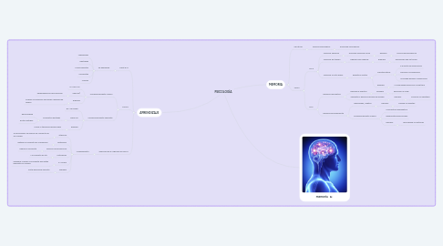 Mind Map: PSICOLOGÍA