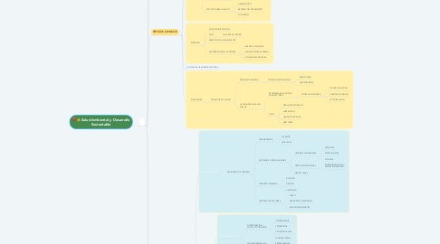 Mind Map: Salud Ambiental y Desarrollo Sustentable