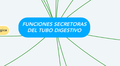Mind Map: FUNCIONES SECRETORAS DEL TUBO DIGESTIVO