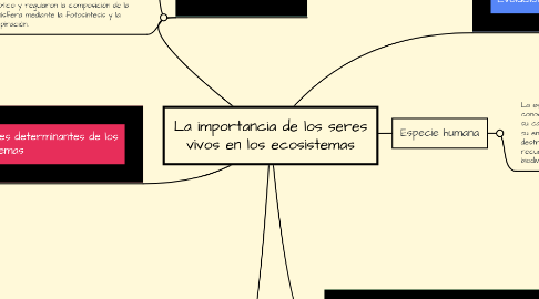 Mind Map: La importancia de los seres vivos en los ecosistemas