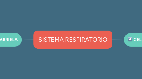 Mind Map: SISTEMA RESPIRATORIO