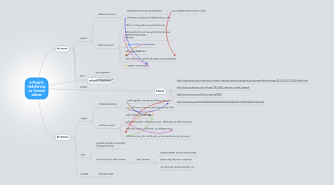 Mind Map: enflasyon hedeflemesi vs. finansal istikrar