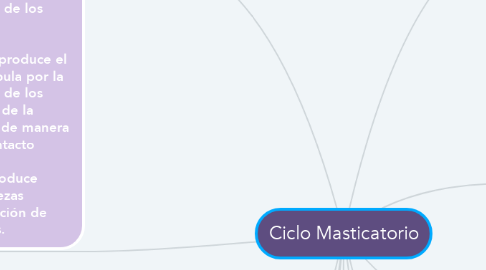 Mind Map: Ciclo Masticatorio