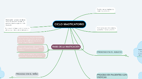 Mind Map: CICLO MASTICATORIO