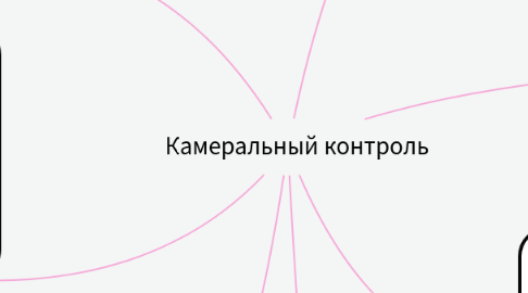 Mind Map: Камеральный контроль