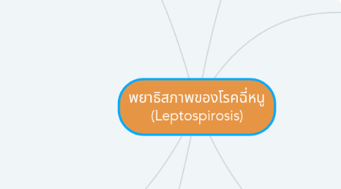 Mind Map: พยาธิสภาพของโรคฉี่หนู (Leptospirosis)