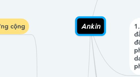 Mind Map: Ankin