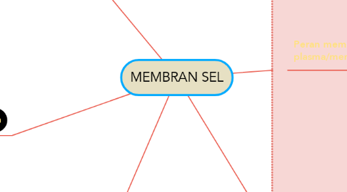 Mind Map: MEMBRAN SEL
