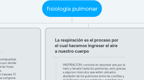 Mind Map: fisiología pulmonar