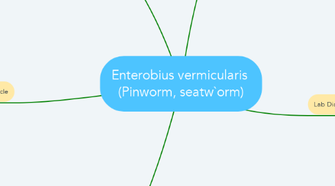 Mind Map: Enterobius vermicularis  (Pinworm, seatw`orm)