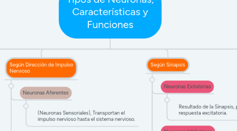 Mind Map: Tipos de Neuronas, Características y Funciones