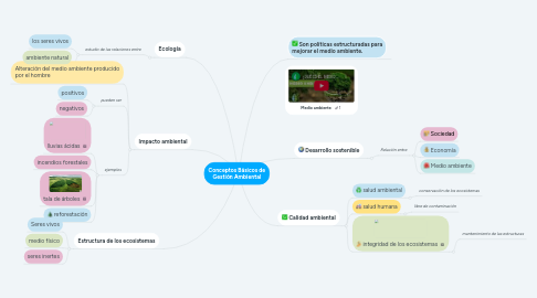 Mind Map: Conceptos Básicos de Gestión Ambiental