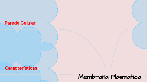 Mind Map: Membrana Plasmatica