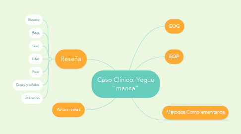 Mind Map: Caso Clínico: Yegua "manca"