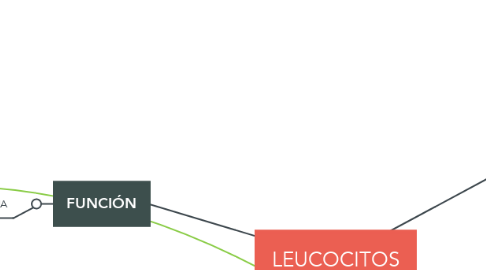 Mind Map: LEUCOCITOS