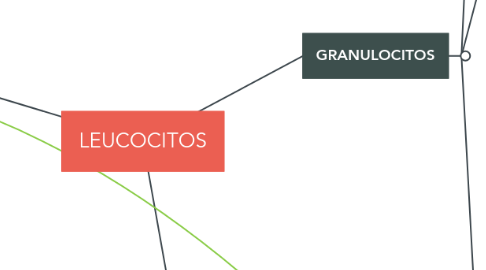 Mind Map: LEUCOCITOS