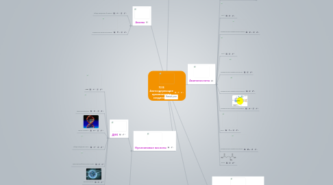 Mind Map: 10 В Азотсодержащие органические соединения