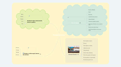 Mind Map: Ezoognósia Geral