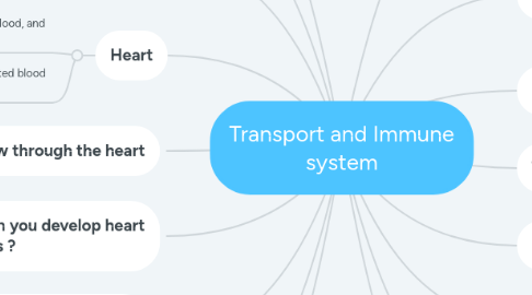 Mind Map: Transport and Immune system