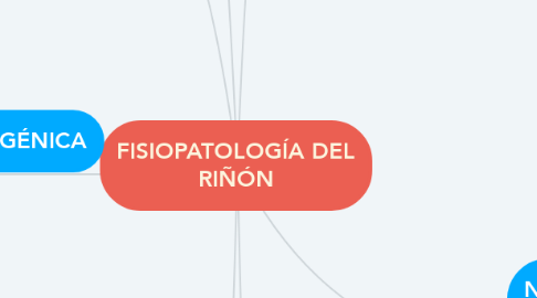 Mind Map: FISIOPATOLOGÍA DEL RIÑÓN